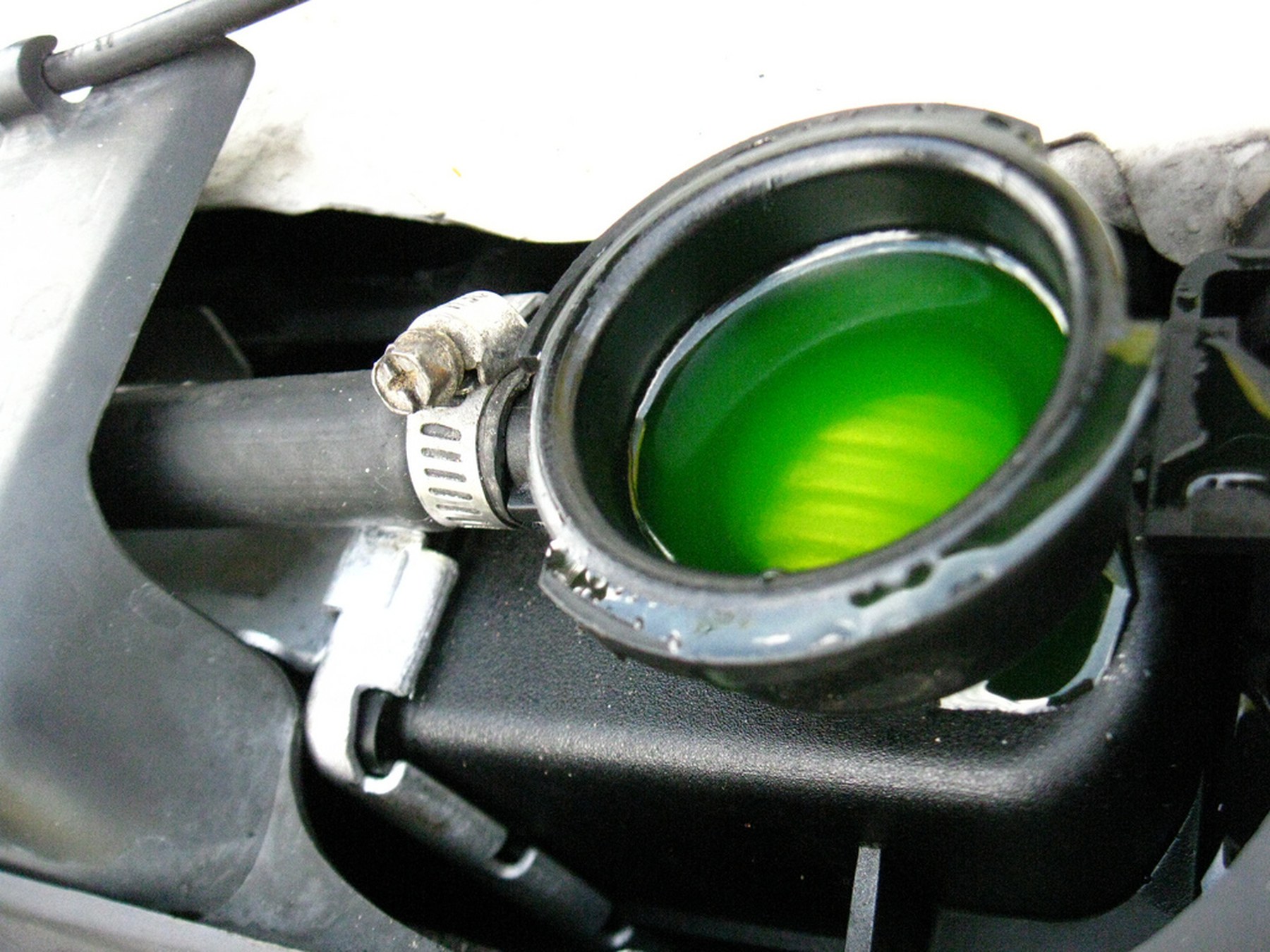 Liquide vert visible dans un radiateur ouvert, moteur froid