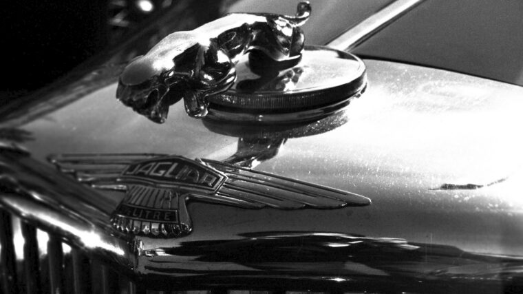Mascotte Jaguar chromée sur le capot d’une voiture britannique ancienne